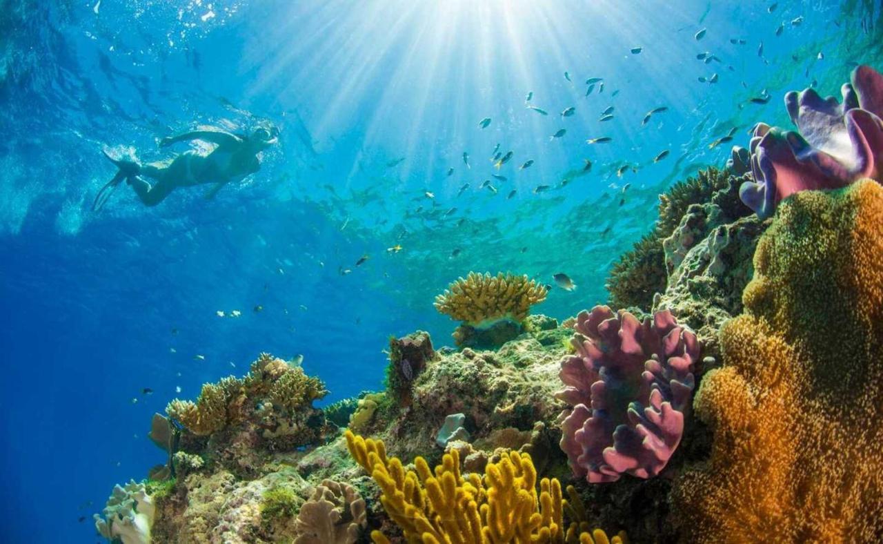 לינה וארוחת בוקר דיאני ביץ' Upani In Diani מראה חיצוני תמונה