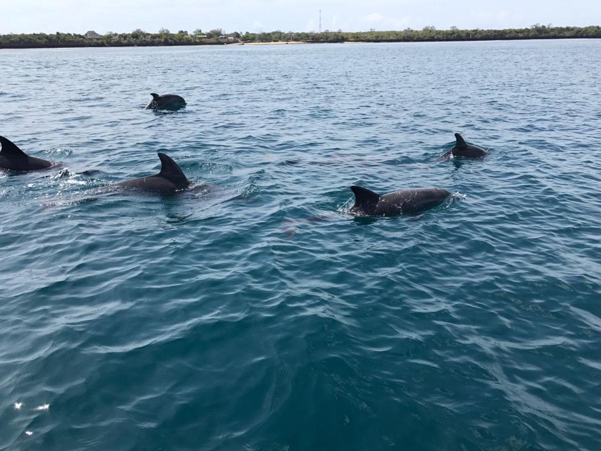 לינה וארוחת בוקר דיאני ביץ' Upani In Diani מראה חיצוני תמונה